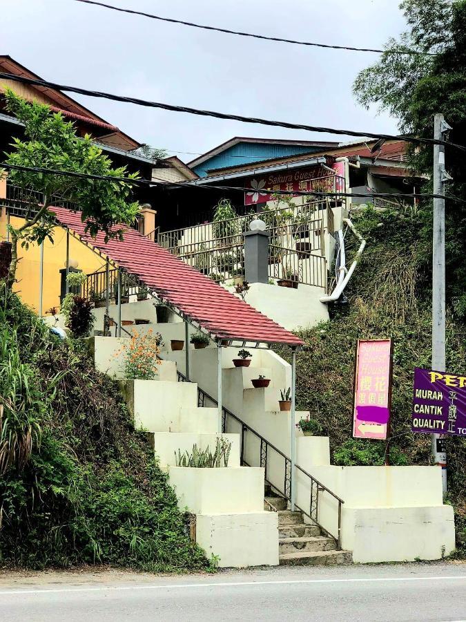 Sakura Guest House Cameron Highlands Exterior photo