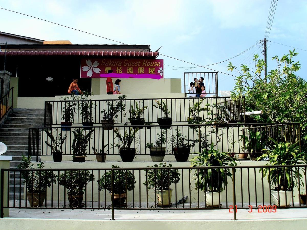 Sakura Guest House Cameron Highlands Exterior photo